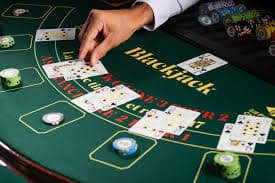 1008 ট্রেজার জেমসে সচেতন ধাপ